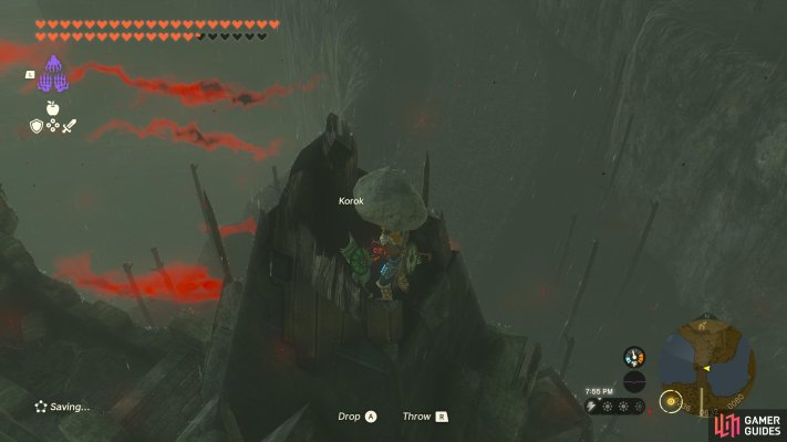 Korok Seed