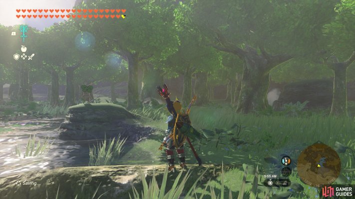 Korok Seed