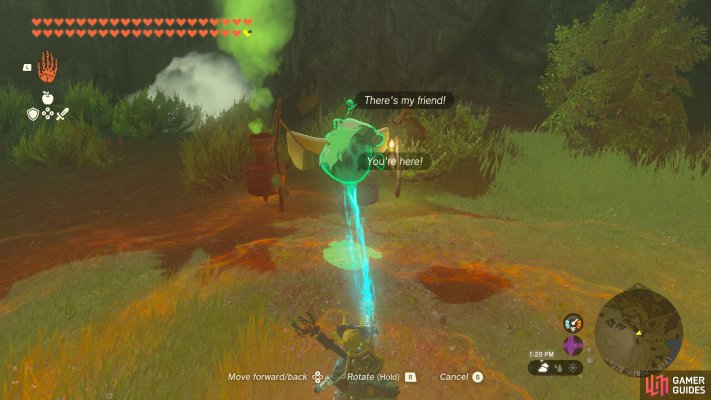 Korok Seed (x2)