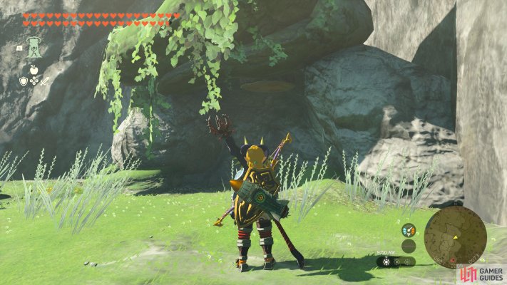 Korok Seed