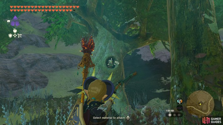 Korok Seed