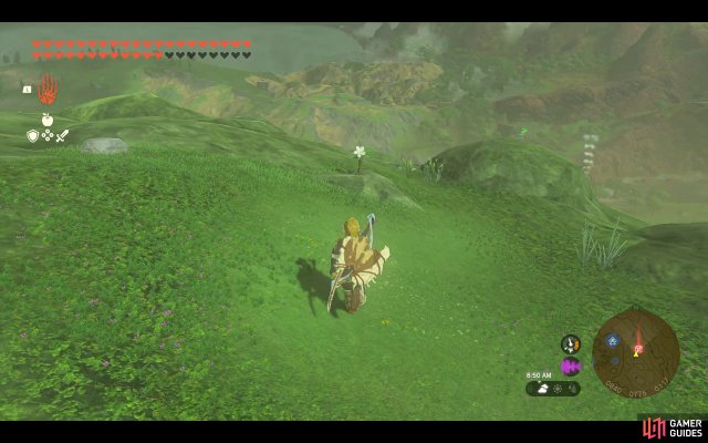 Korok Seed