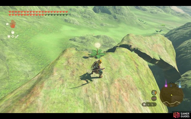 Korok Seed