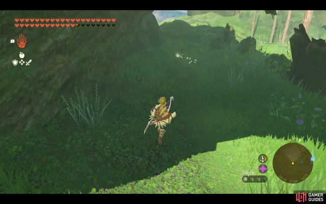Korok Seed
