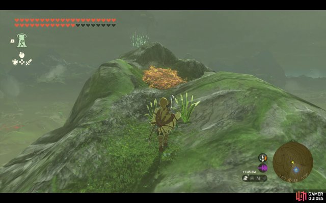 Korok Seed