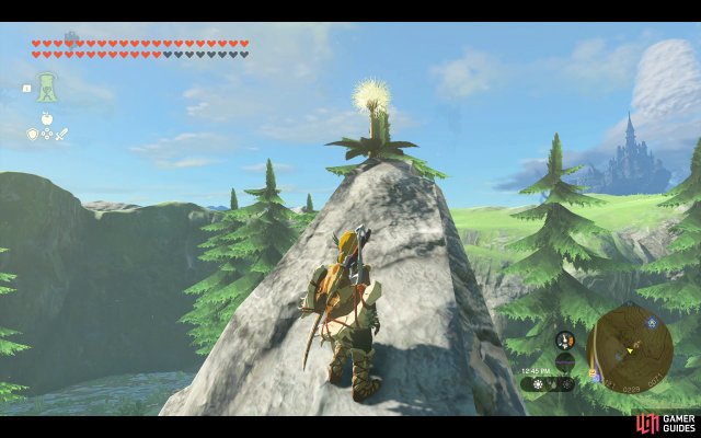 Korok Seed