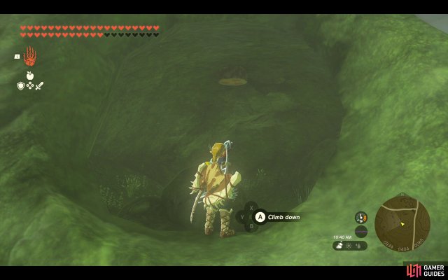 Korok Seed