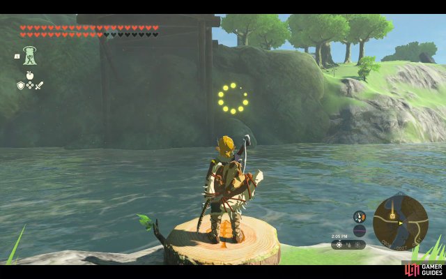 Korok Seed