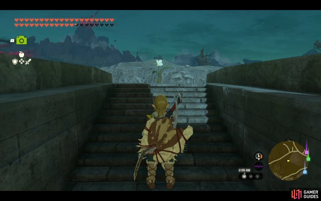 Korok Seed