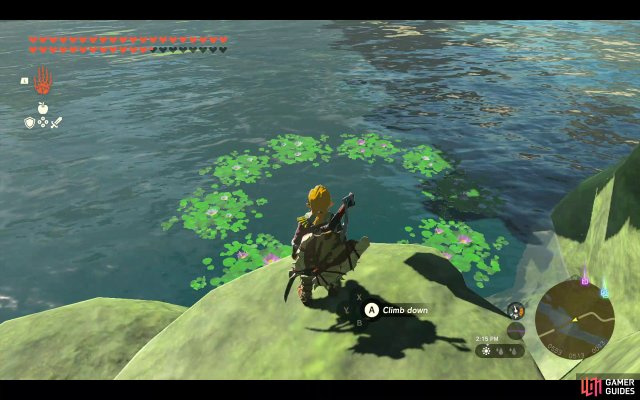 Korok Seed