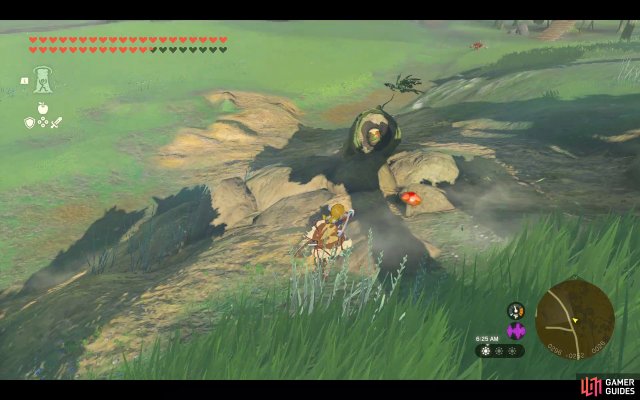 Korok Seed