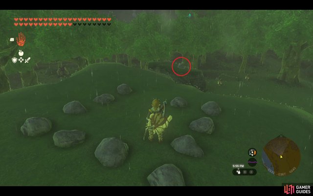 Korok Seed