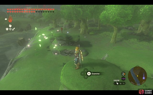 Korok Seed