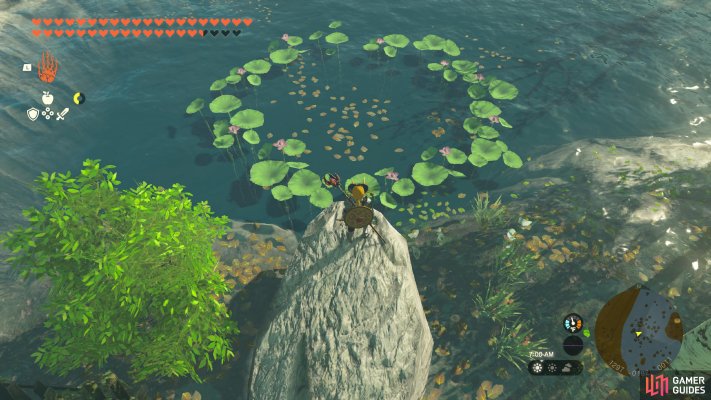 Korok Seed