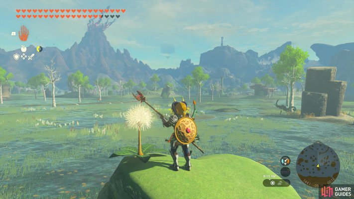 Korok Seed