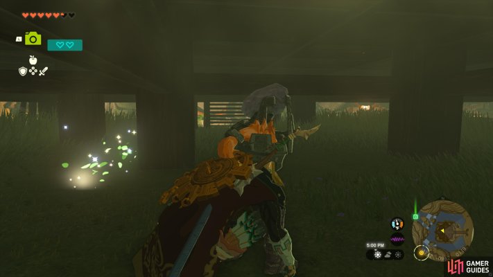 Korok Seed