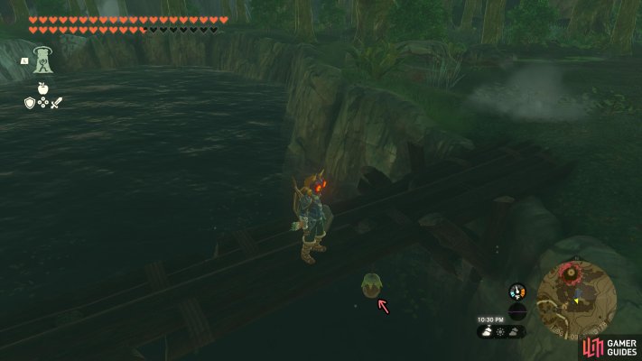 Korok Seed
