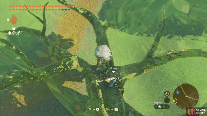 Korok Seed