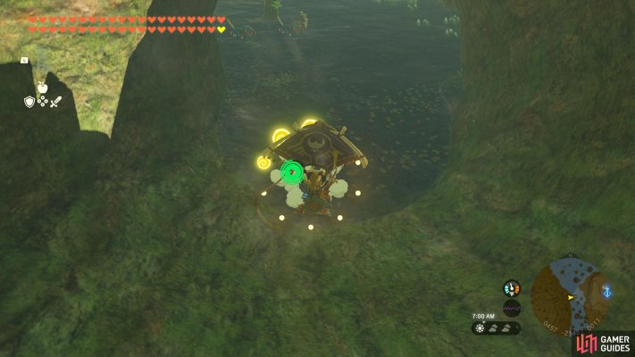 Korok Seed
