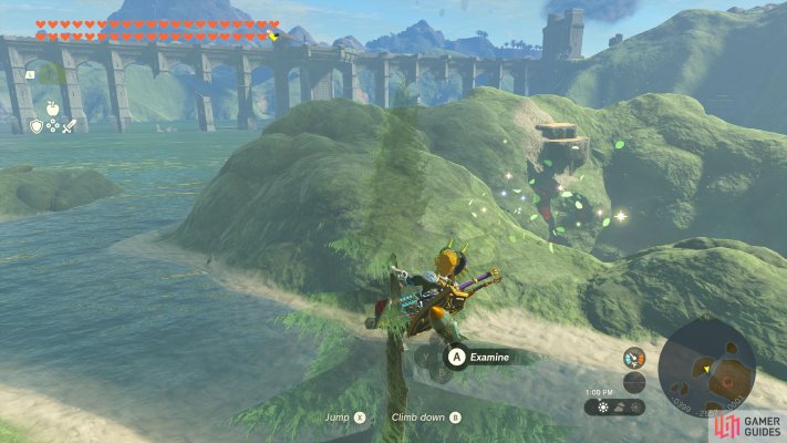 Korok Seed
