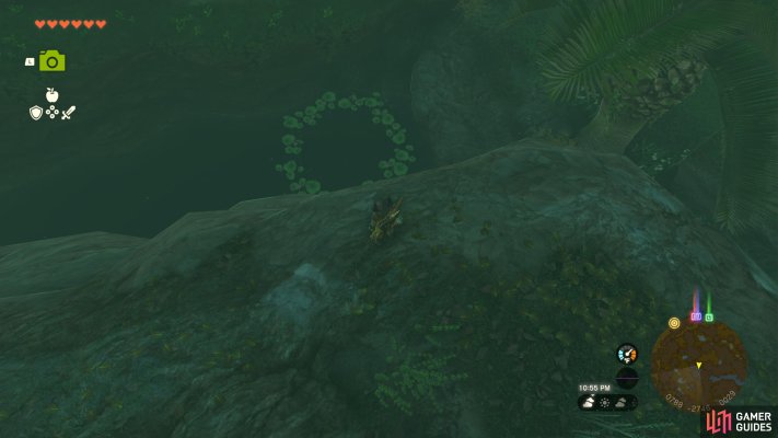 Korok Seed