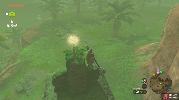 Korok Seed