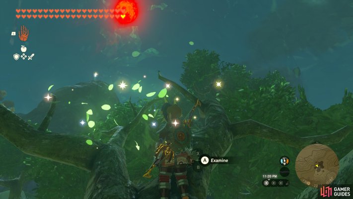 Korok Seed