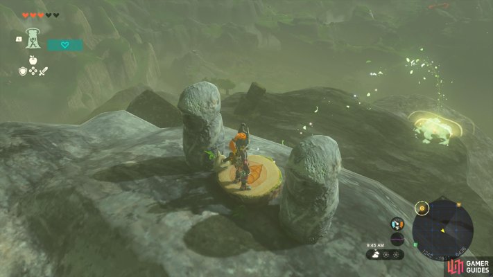 Korok Seed