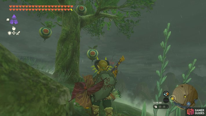 Korok Seed