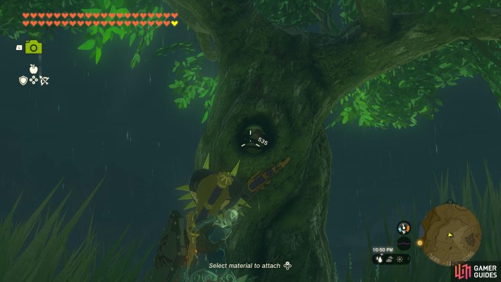 Korok Seed