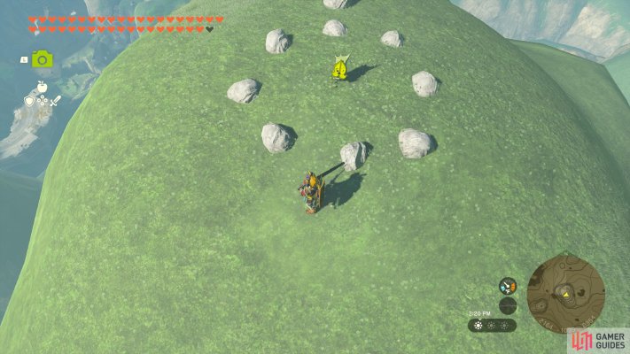 Korok Seed