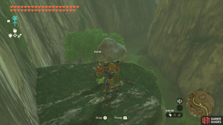 Korok Seed