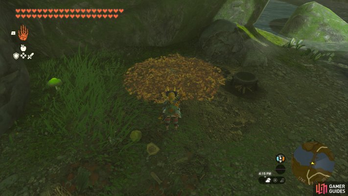 Korok Seed