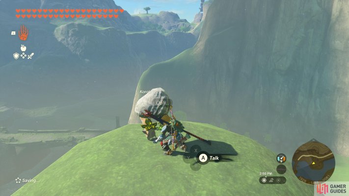 Korok Seed