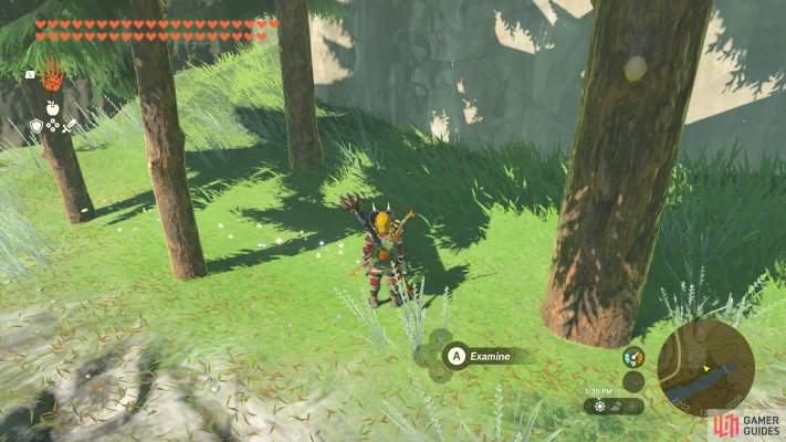 Korok Seed