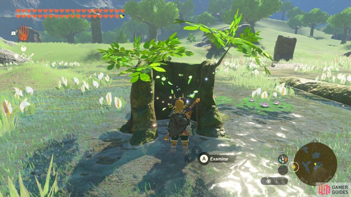 Korok Seed