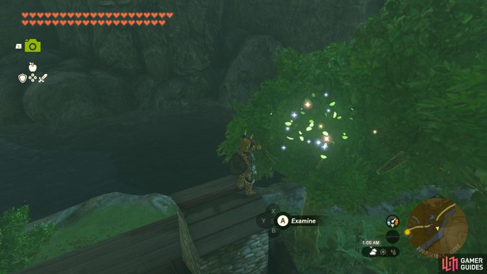 Korok Seed