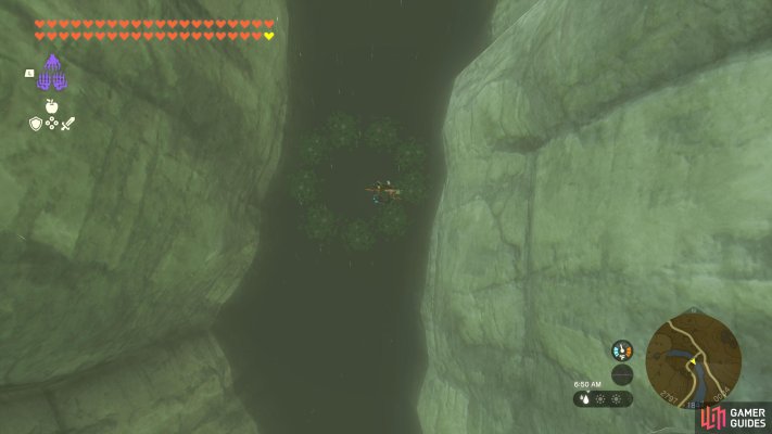 Korok Seed