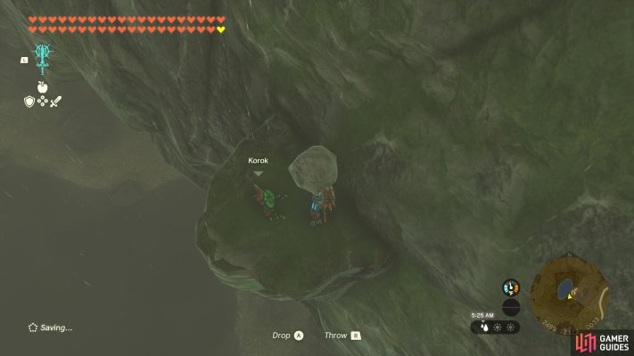 Korok Seed