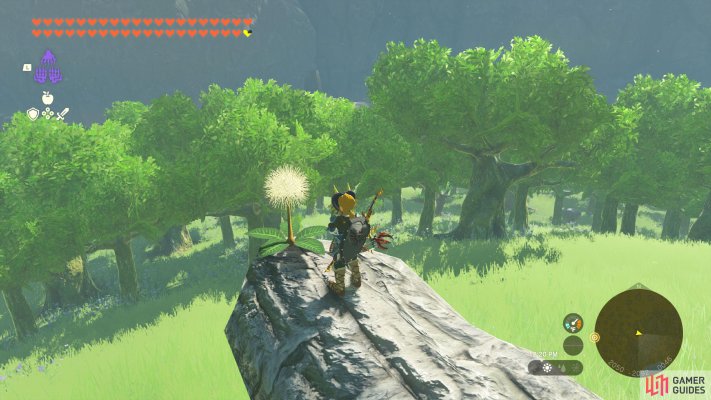 Korok Seed