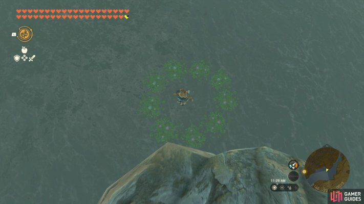 Korok Seed