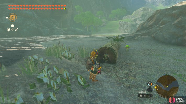 Korok Seed