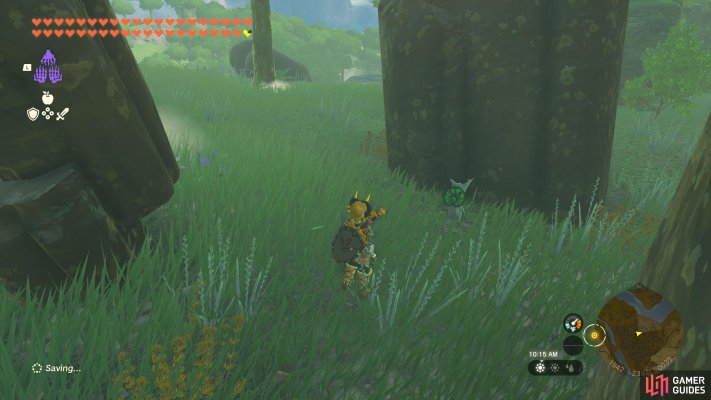 Korok Seed