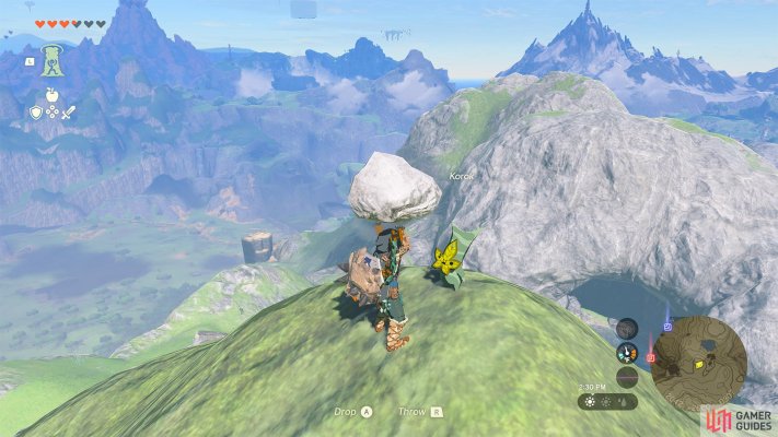 Korok Seed