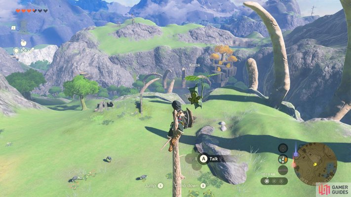 Korok Seed