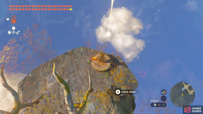 Korok Seed