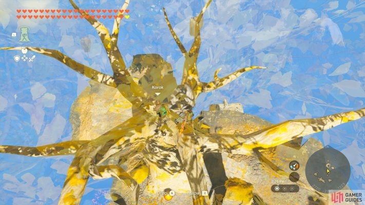 Korok Seed