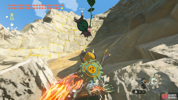 Korok Seed