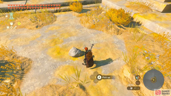 Korok Seed