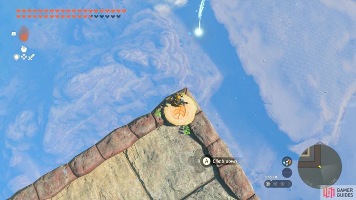Korok Seed